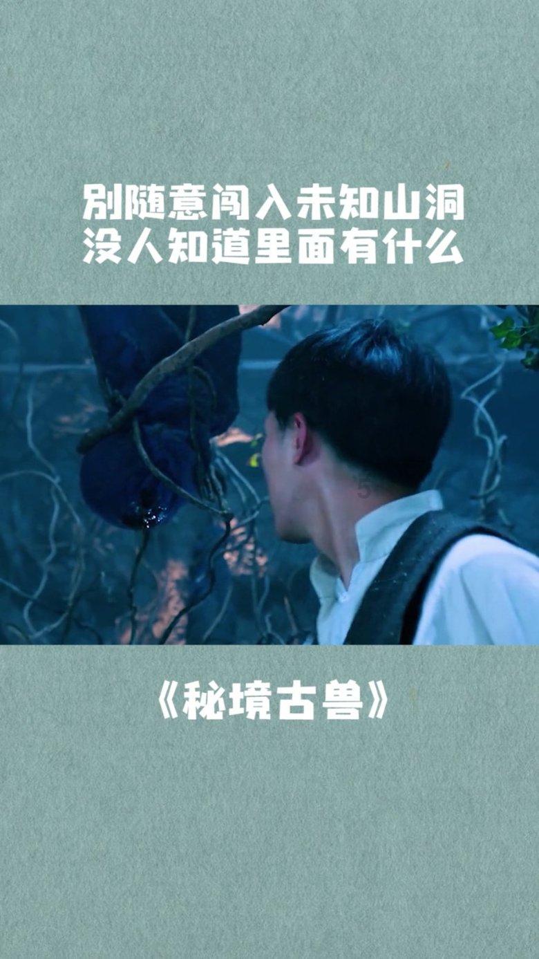 少年泰坦大出击