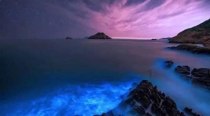 救援受困的火鸡