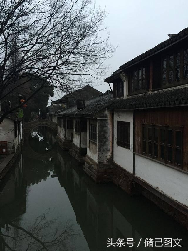 大山羔羊逃生